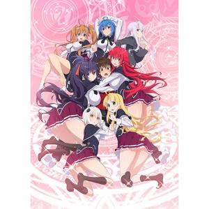 ハイスクールd D Hero Tvアニメ動画 の最新話 最終回ネタバレ速報 あにこれb