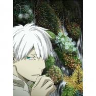 5点 蟲師 Tvアニメ動画 あにこれb