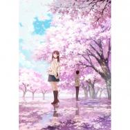 半分の月がのぼる空 Tvアニメ動画 の感想 評価 レビュー一覧 あにこれb