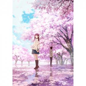 真実か挑戦 By Fu I 君の膵臓をたべたい アニメ映画 あにこれb