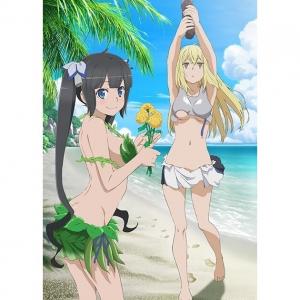 66 1点 ダンジョンに出会いを求めるのは間違っているだろうかii Ova あにこれb