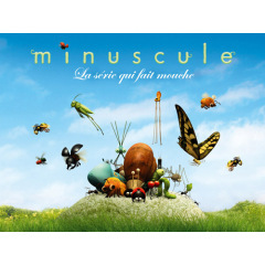 Minuscule ミニスキュル 小さなムシの物語 Tvアニメ動画 あにこれb