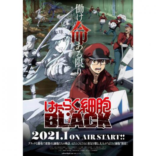 はたらく細胞black Tvアニメ動画 の1話無料動画配信 あにこれb