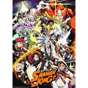 63 6点 Shaman Kingシャーマンキング Tvアニメ動画 あにこれb
